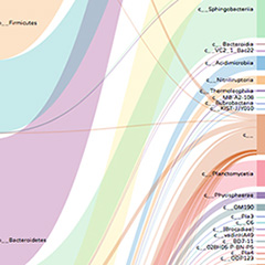 A Framework for Visualizing Bio Data